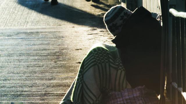 tiggeri_sdltb9f79a0-nh